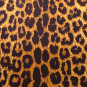 Leopard skin print