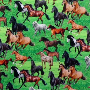 A008 – Horses