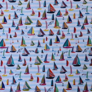 W009 - Sailboat fleet