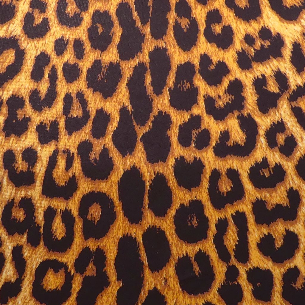 P1220929 1 A006 – Leopard print 7